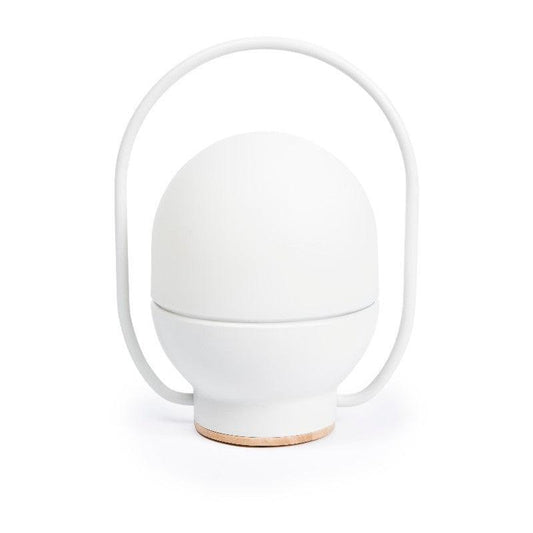 Take Away Portable LED lamp (Request Info).