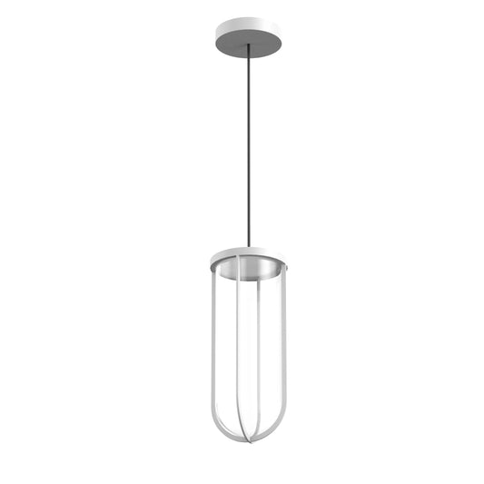 In Vitro Suspension Lamp.