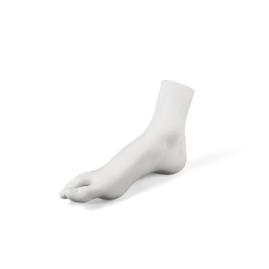 Porcelain Decorative Object Memorabilia Mvsevm Female Foot by Seletti
