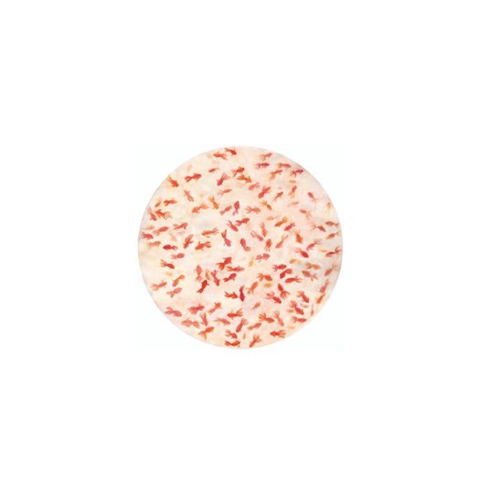 THE WHITE SNOW KINGYO - SERVING PLATE (Request Info).