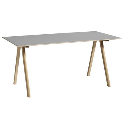 CPH 10 Desk.