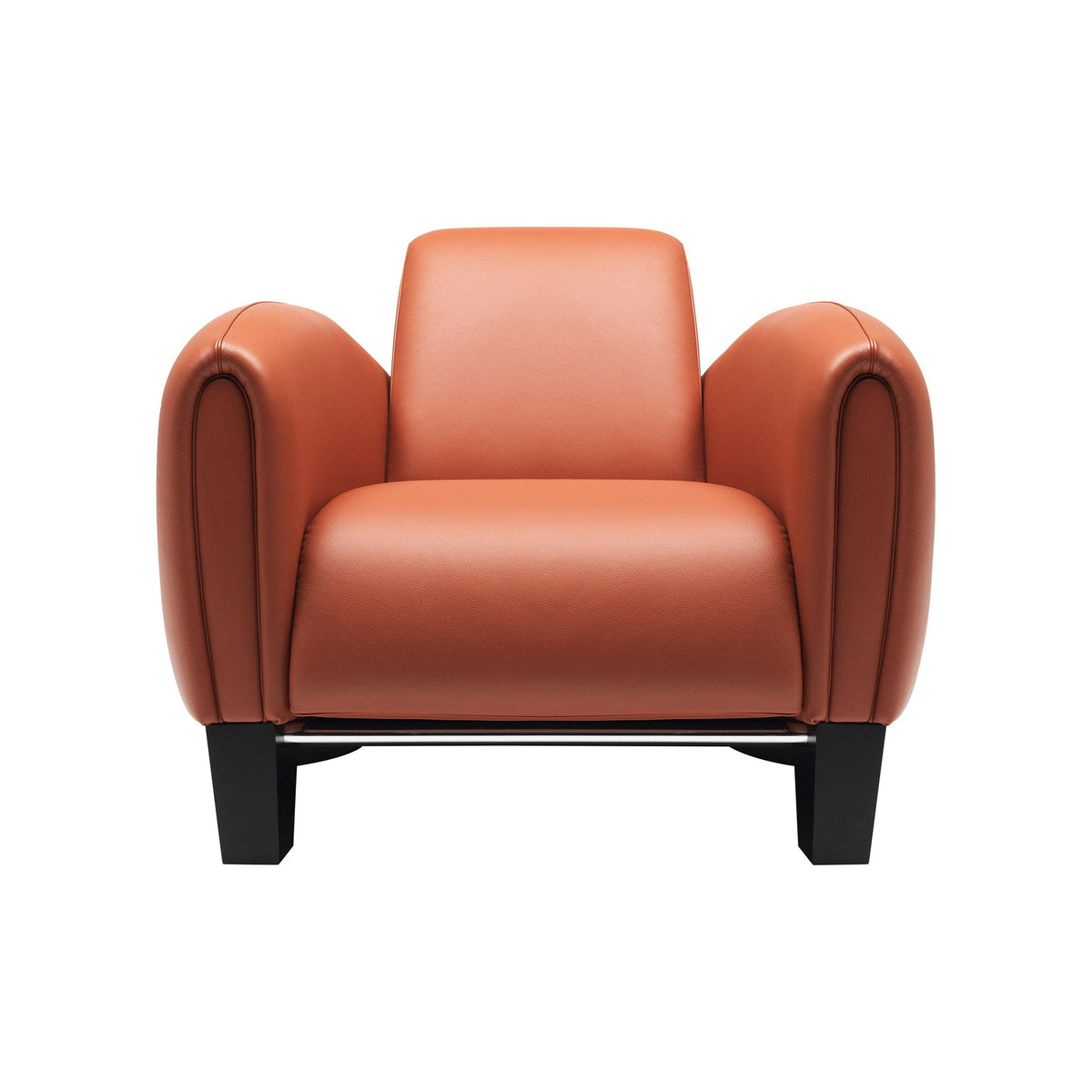 Ds-57 - Leather Armchair by De Sede