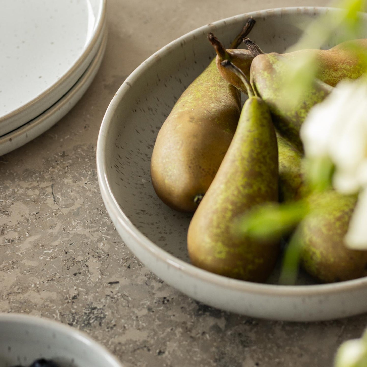 Decotique BON Large Bowl Steam