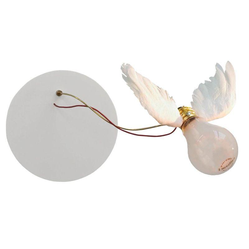 Lucellino NT LED Wall Lamp.