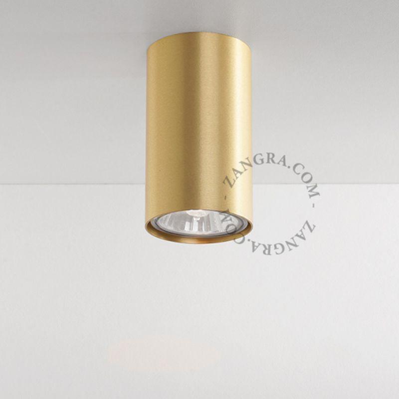 Surface Mounted Downlight (Request Info).