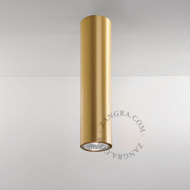 Surface Mounted Downlight (Request Info).