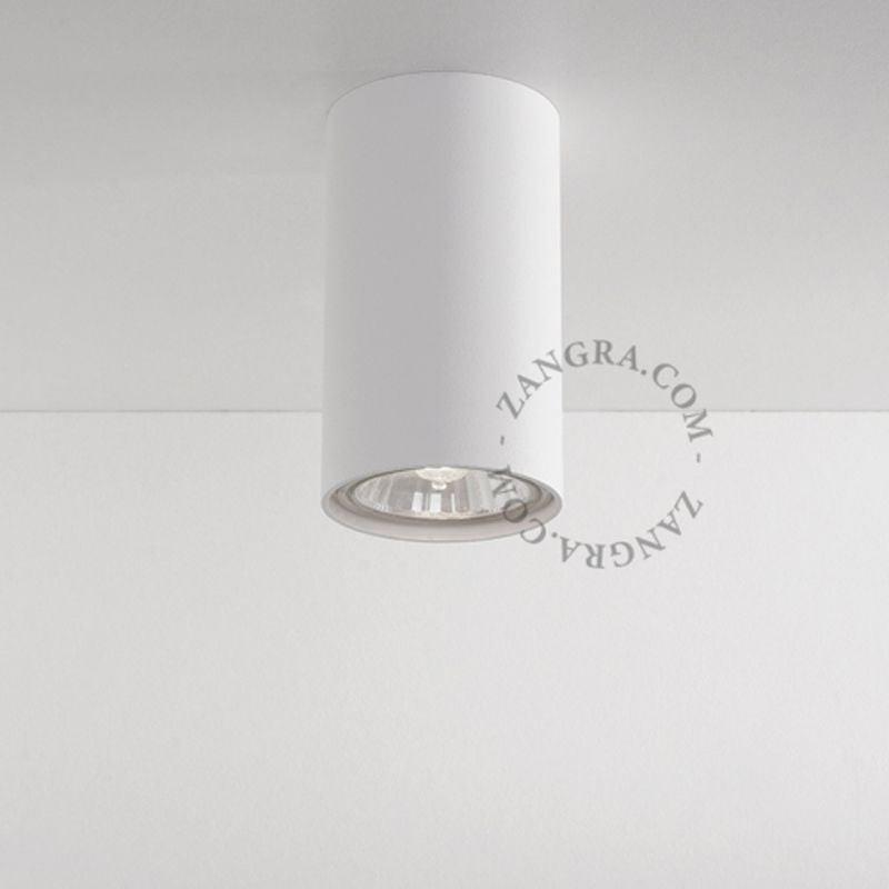 Surface Mounted Downlight (Request Info).