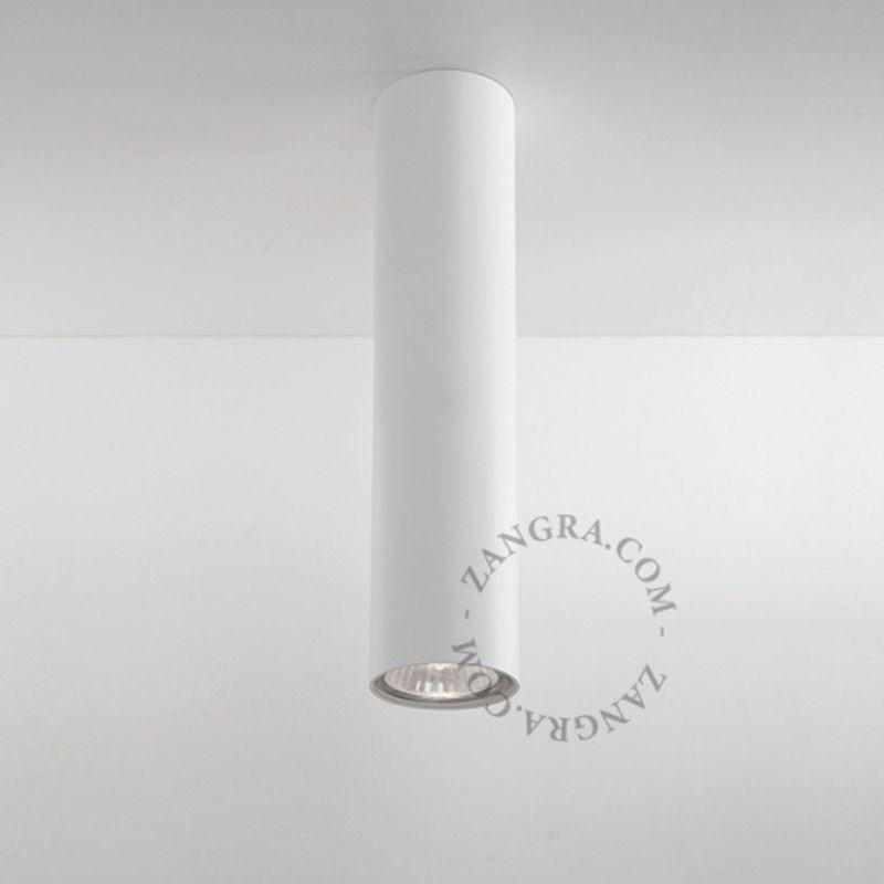Surface Mounted Downlight (Request Info).