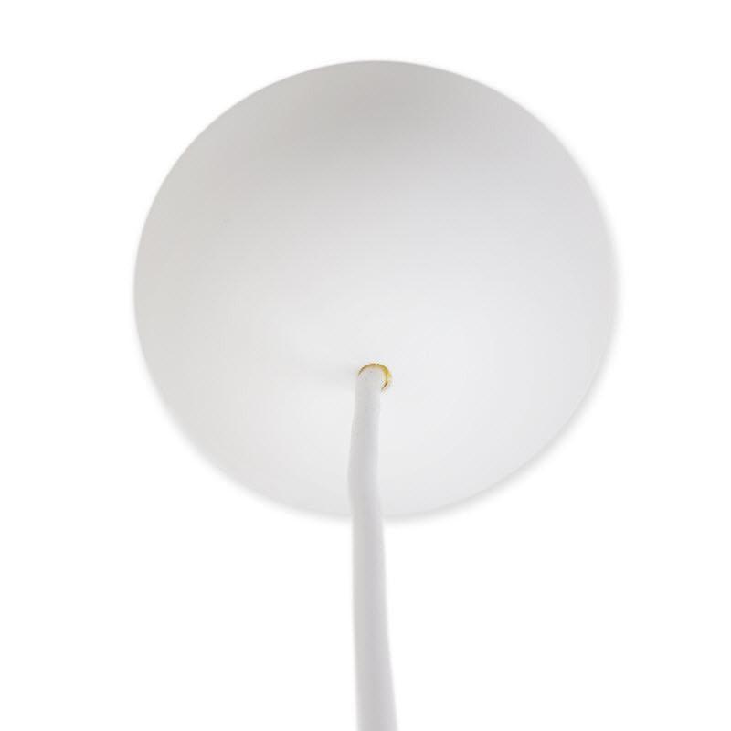 Ceiling Rose (Request Info).