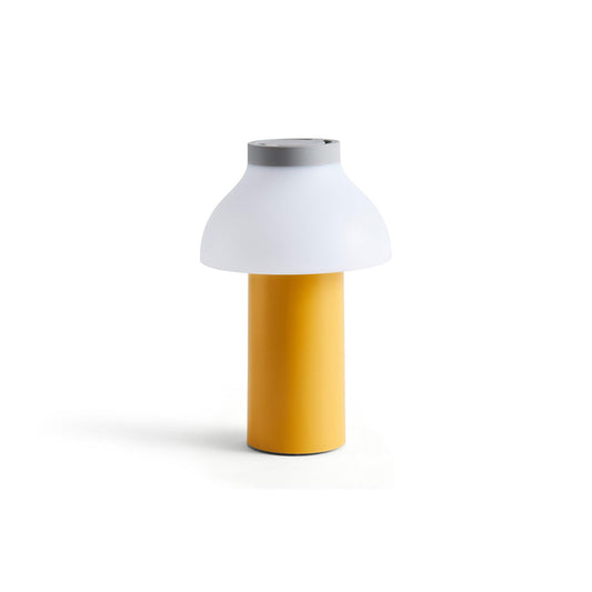 PC Portable Lamp.
