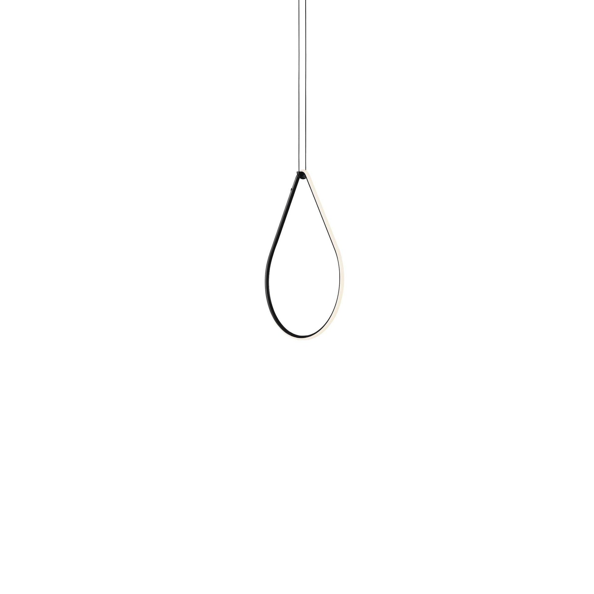 Arrangements Drop Up Suspension Lamp.