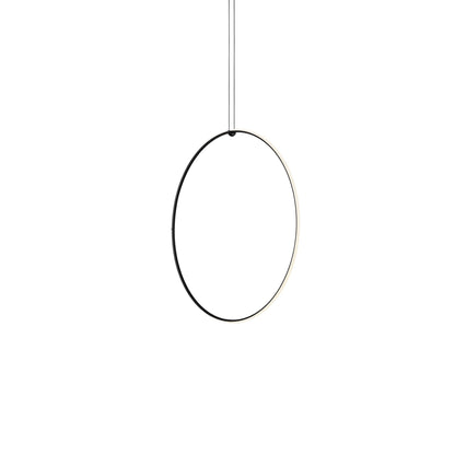 Arrangements Round Large Suspension Lamp.