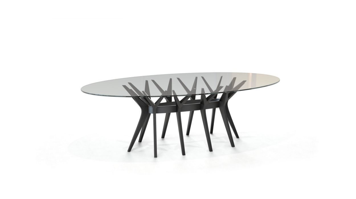 ASTER OVAL DINING TABLE by Roche Bobois