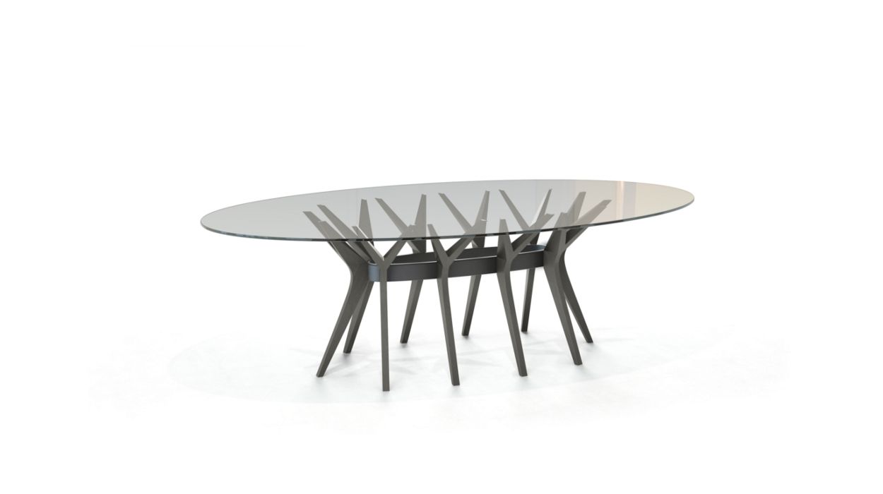 ASTER OVAL DINING TABLE by Roche Bobois