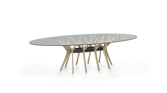 ASTER OVAL DINING TABLE by Roche Bobois