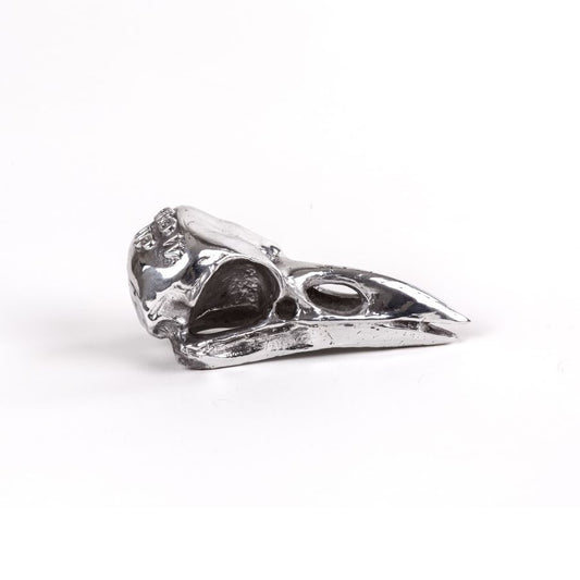 Wunderkammer Bird Skull - Aluminium Decorative Object