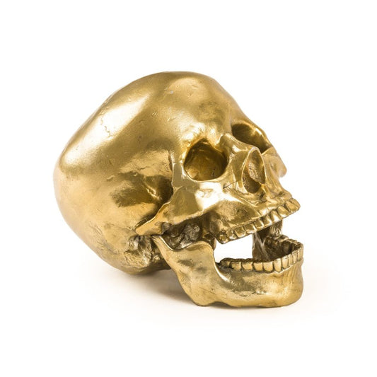 Wunderkrammer Human Skull - Aluminium Decorative Object