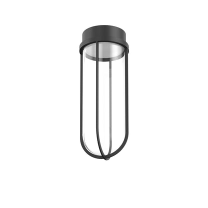 In Vitro Ceiling Lamp.