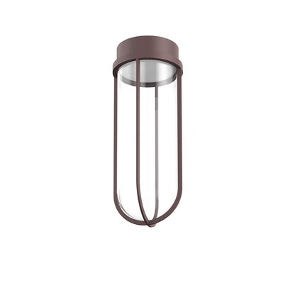In Vitro Ceiling Lamp.