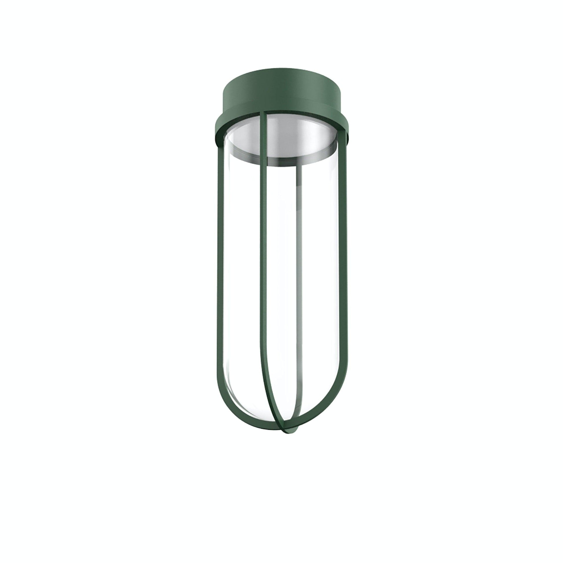In Vitro Ceiling Lamp.