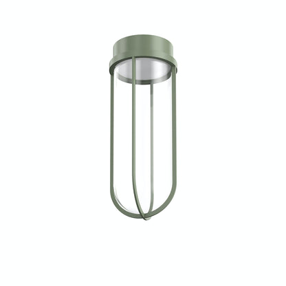 In Vitro Ceiling Lamp.