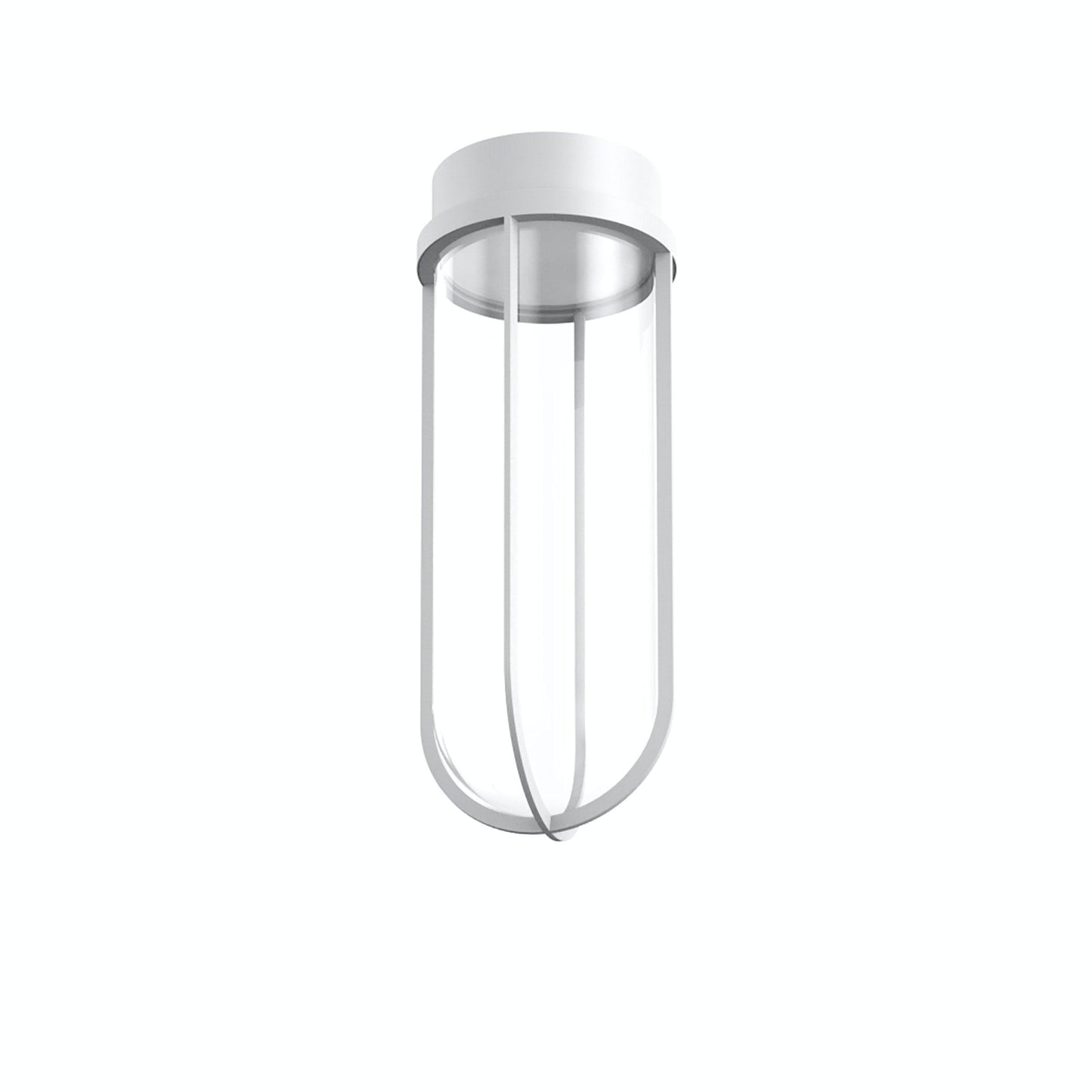 In Vitro Ceiling Lamp.