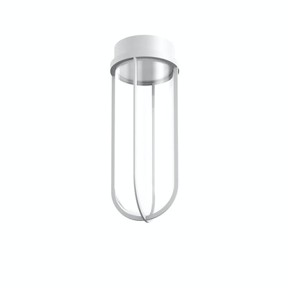 In Vitro Ceiling Lamp.