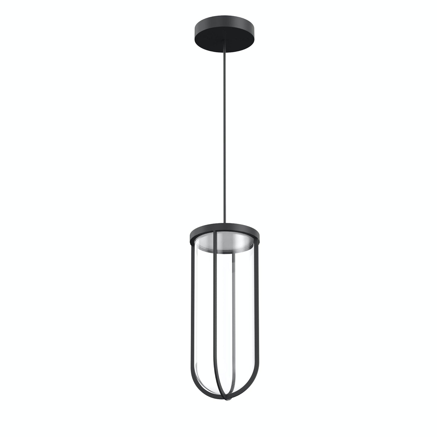In Vitro Suspension Lamp.