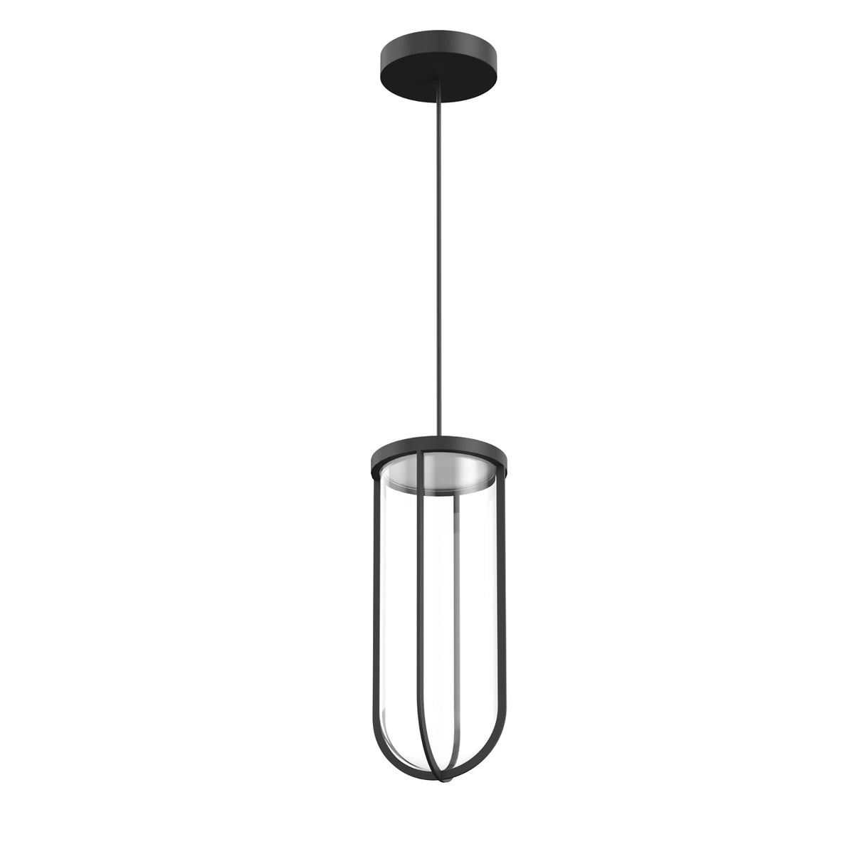 In Vitro Suspension Lamp