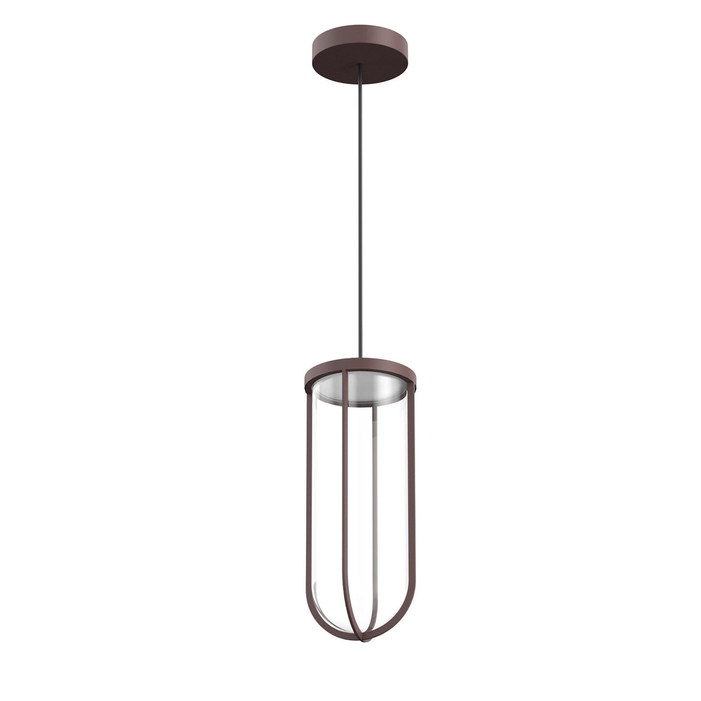 In Vitro Suspension Lamp.
