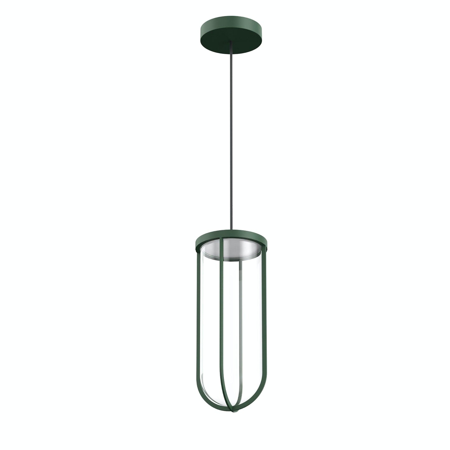 In Vitro Suspension Lamp.