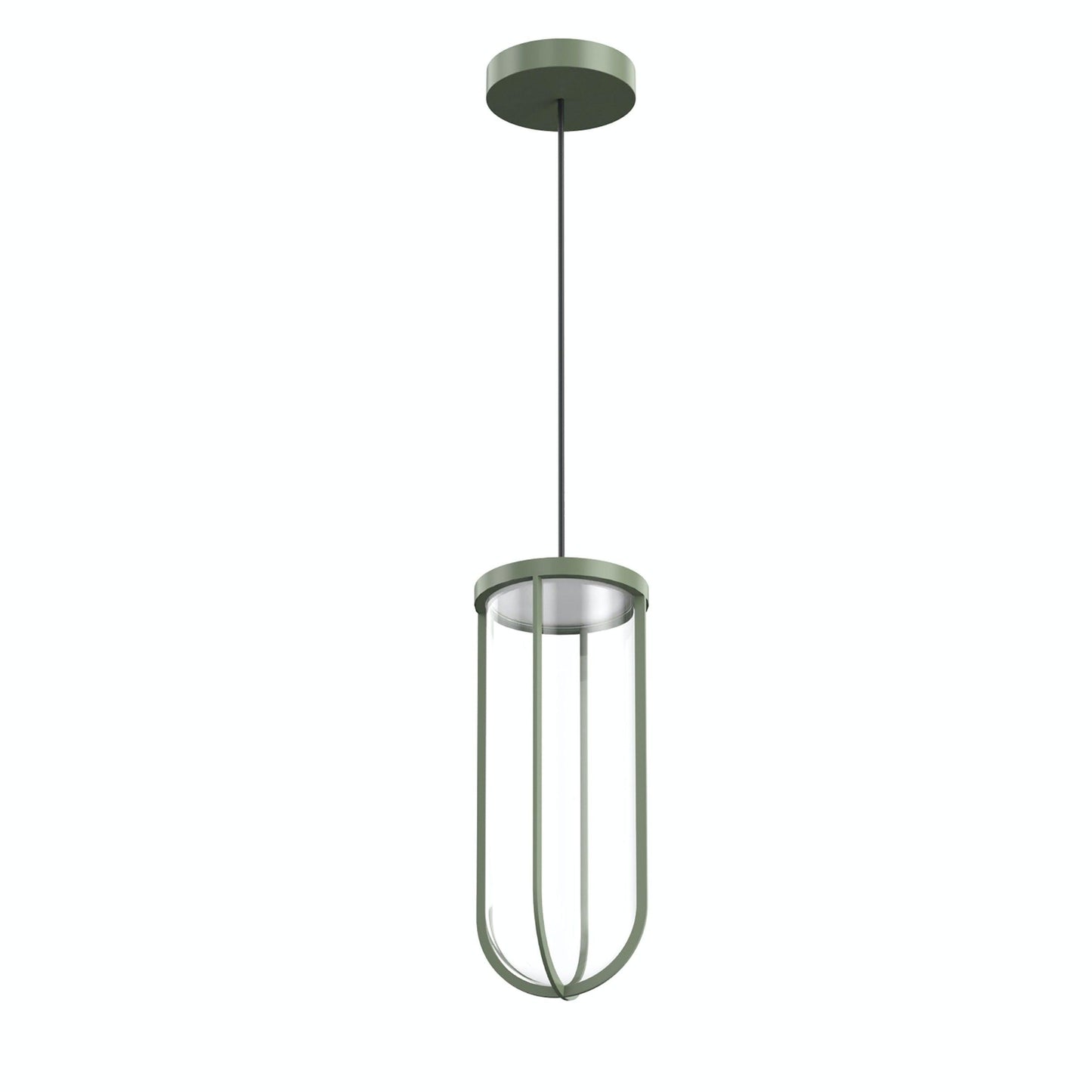 In Vitro Suspension Lamp.