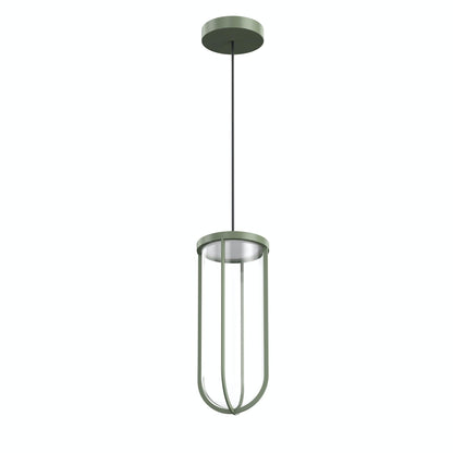 In Vitro Suspension Lamp.