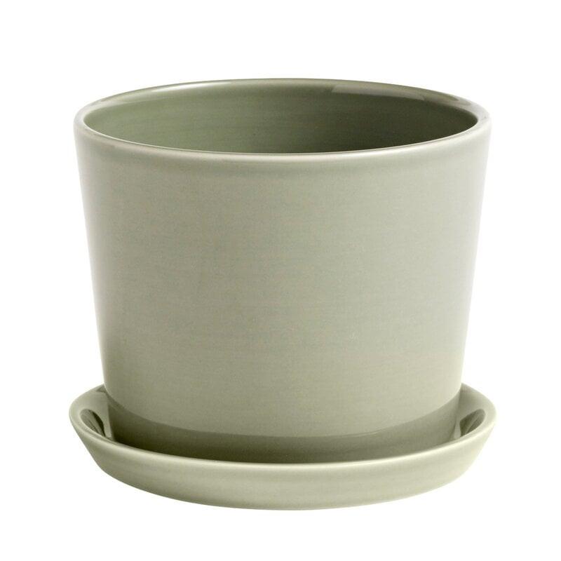Botanical Family Set (Request Info).