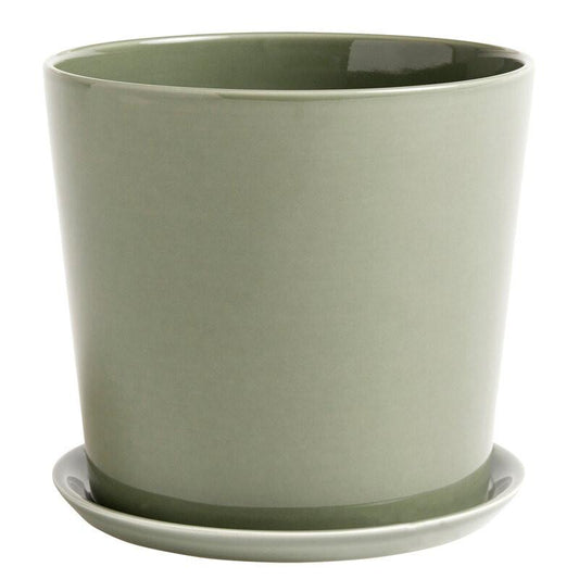 Botanical Family Set (Request Info).