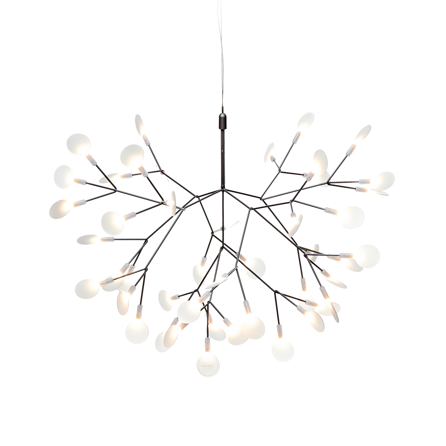 Heracleum III Suspended pendant.