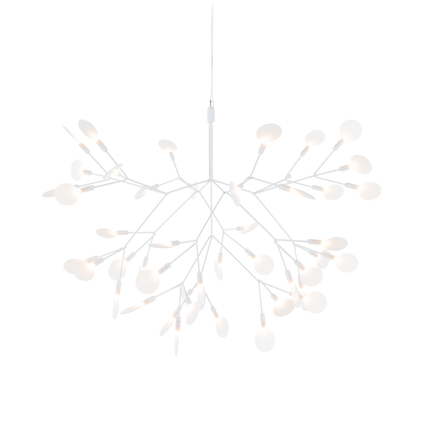 Heracleum III Suspended pendant.