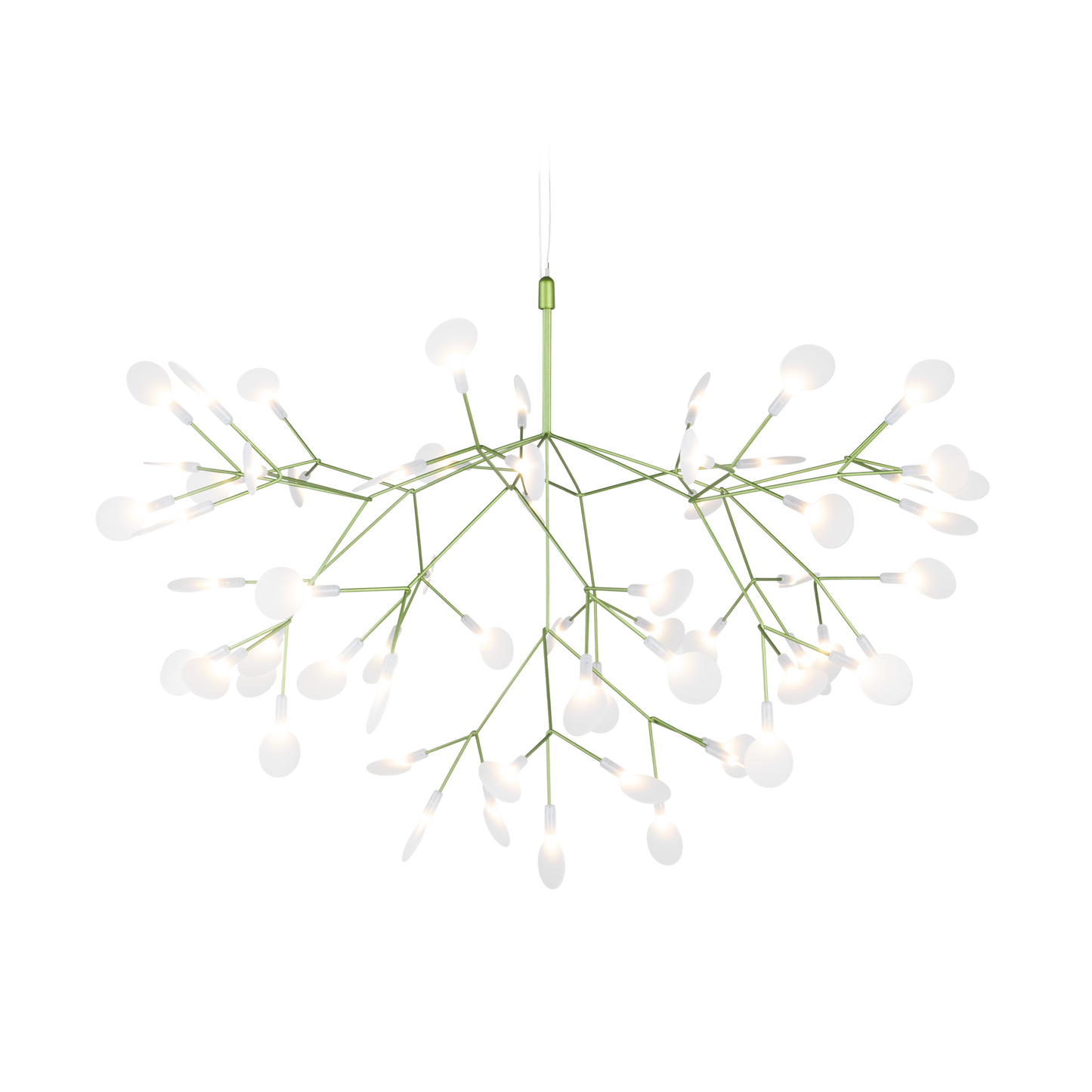 Heracleum III Suspended pendant.