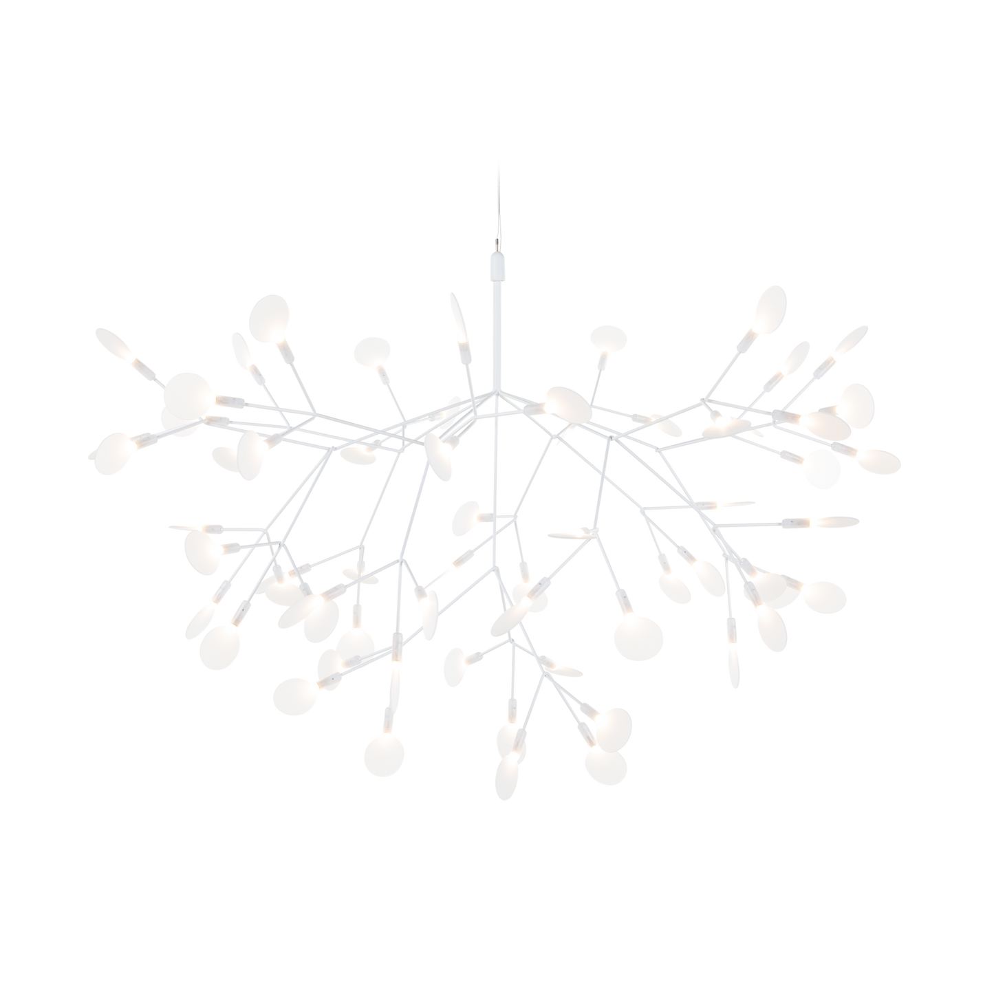 Heracleum III Suspended pendant.