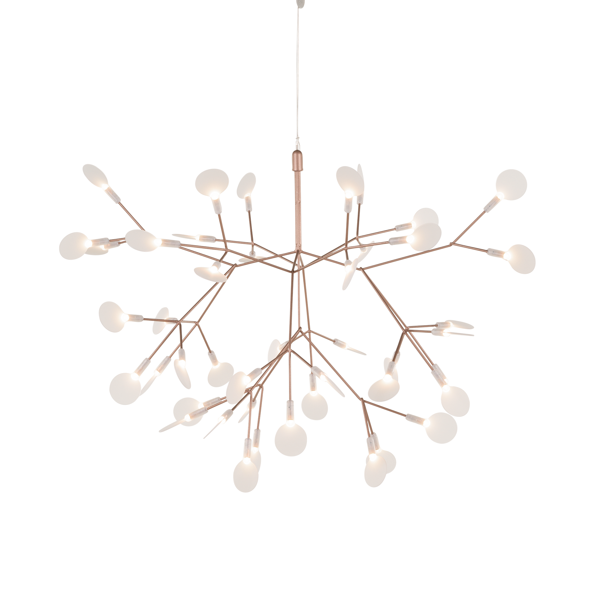 Heracleum III Suspended pendant.