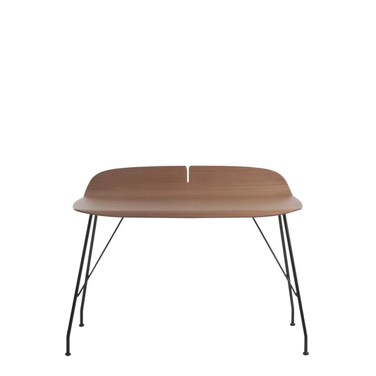 Earl of Wood Desks.