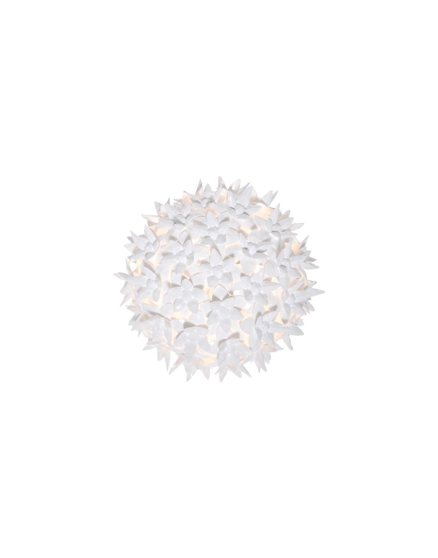 Bloom Wall Lamp.