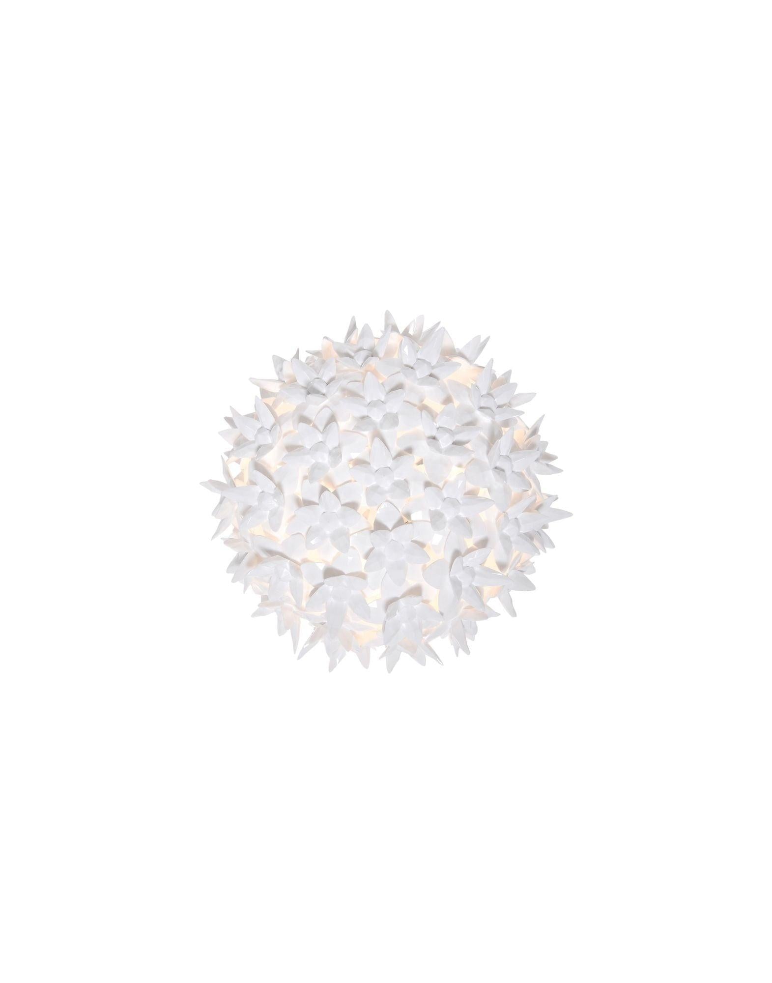 Bloom Wall Lamp.