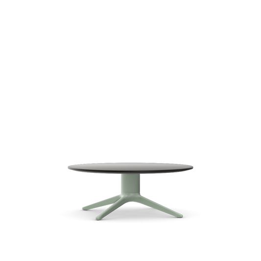 Abalon Table.