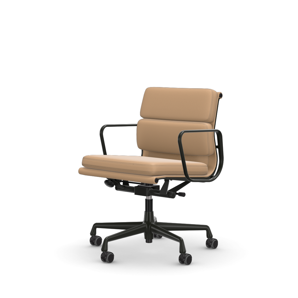 Soft Pad Chairs EA 217 – Work (Cover material - Leather Premium F)
