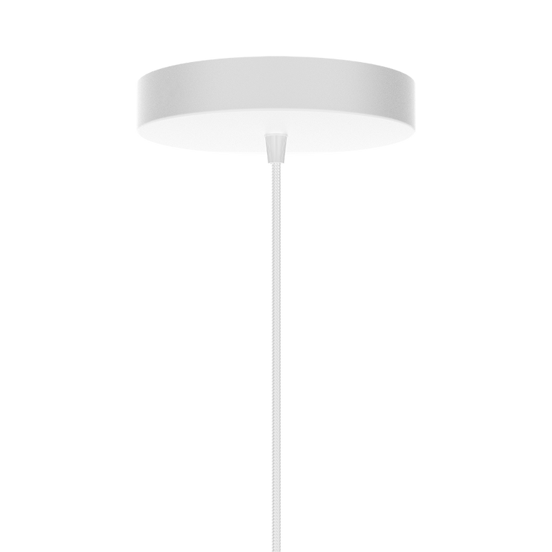 Metallic Rosette Canopy.