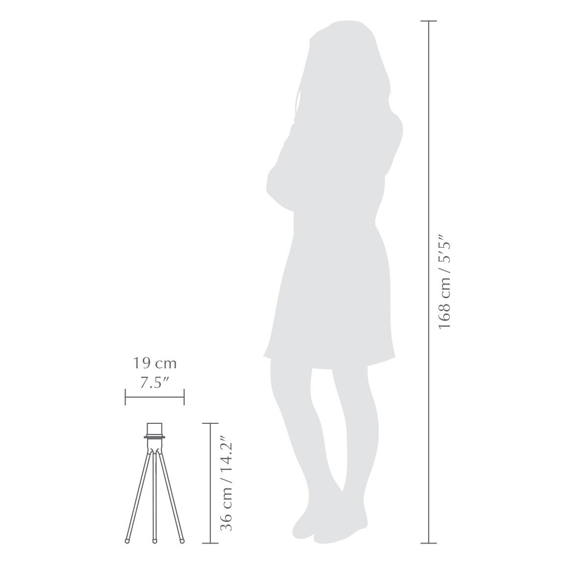 Tripod table Light Stand.