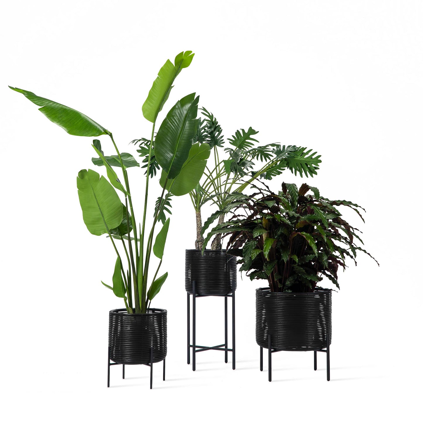 IVO - Round wicker vase.
