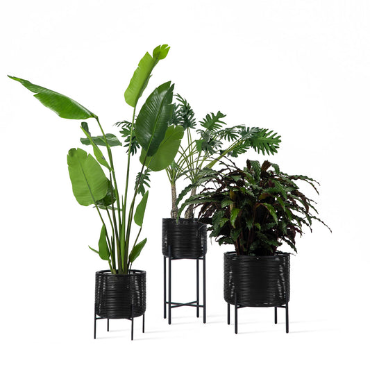 IVO - Round wicker vase.
