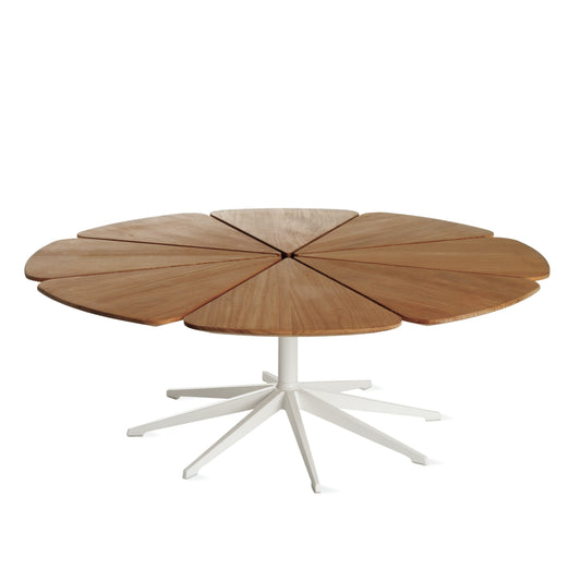 Petal - Polyurethane coffee table.
